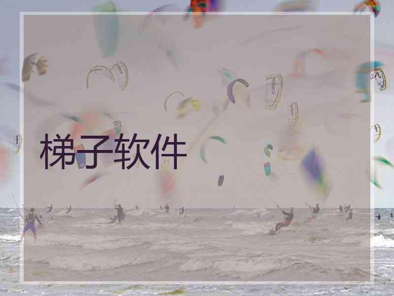 梯子软件