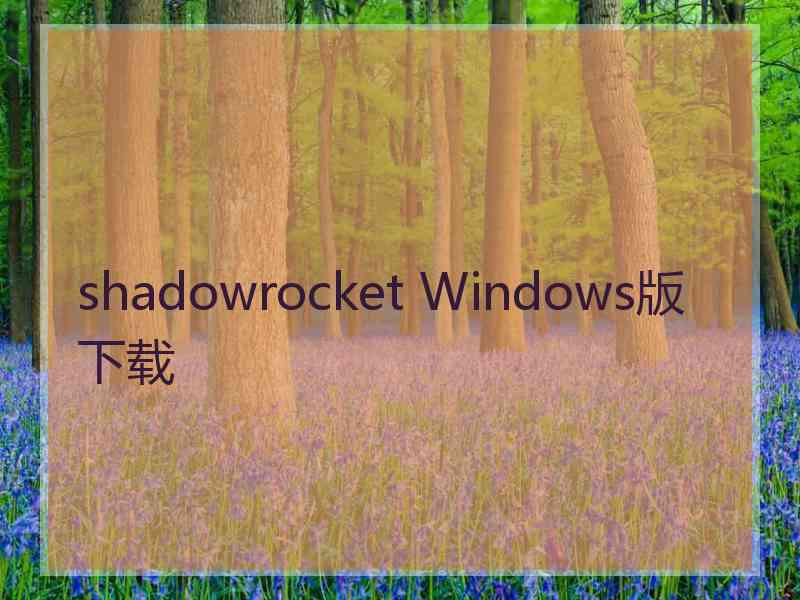 shadowrocket Windows版下载