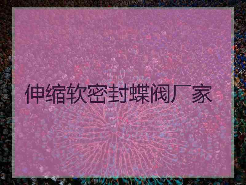 伸缩软密封蝶阀厂家
