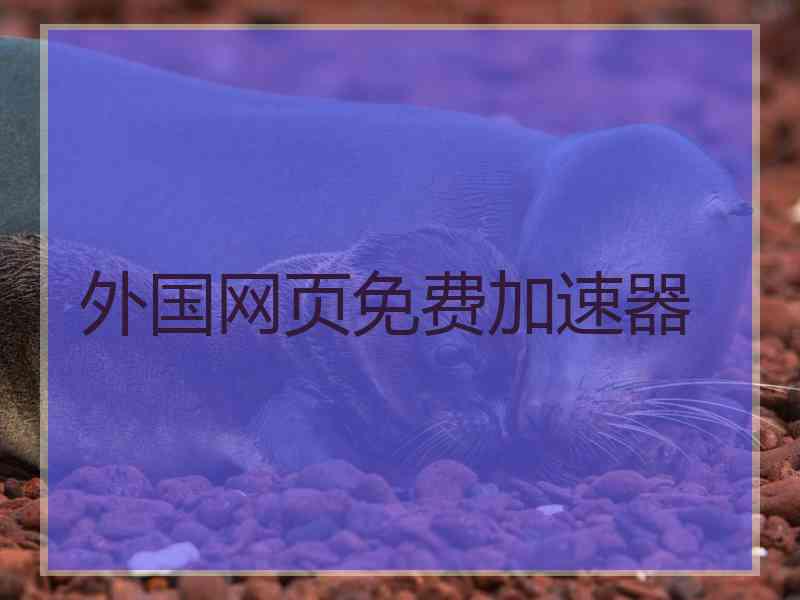 外国网页免费加速器