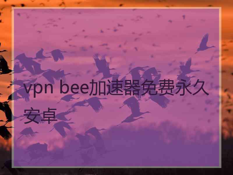 vpn bee加速器免费永久安卓