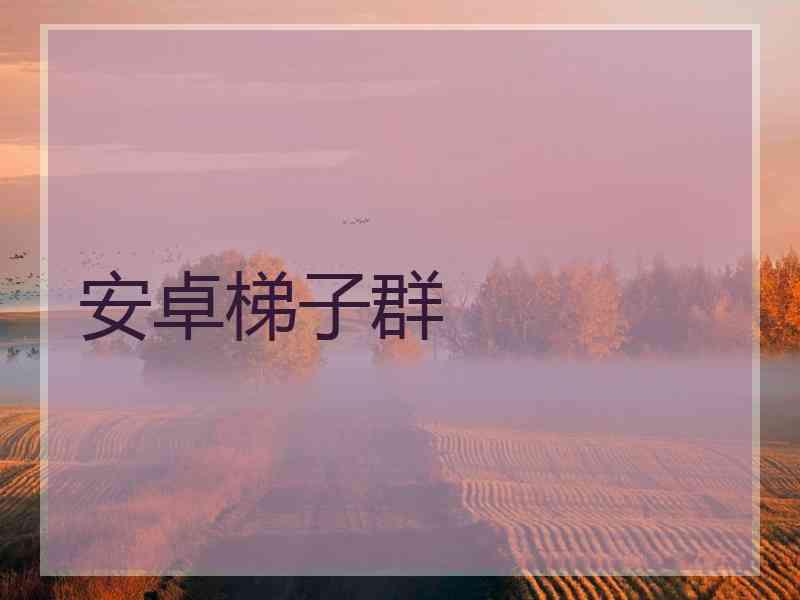 安卓梯子群
