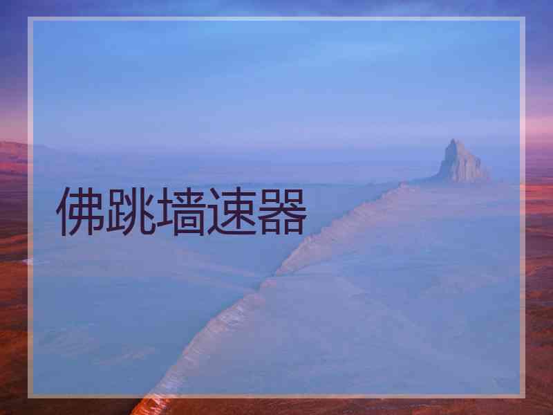 佛跳墙速器