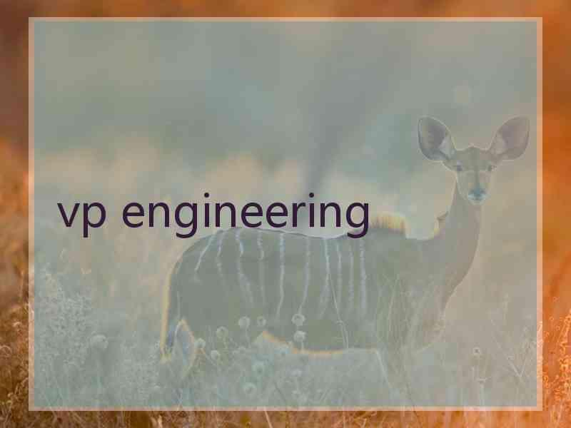 vp engineering