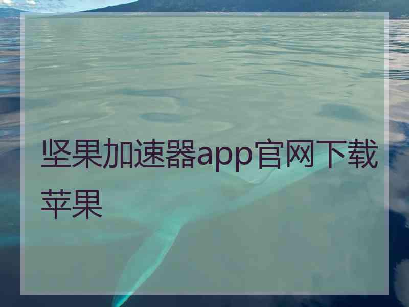 坚果加速器app官网下载苹果