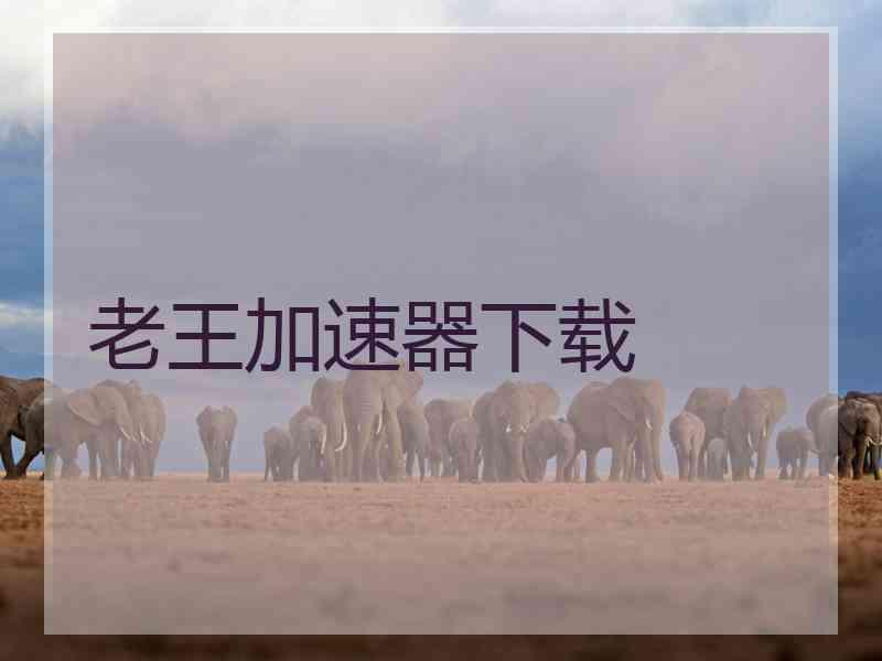 老王加速器下载