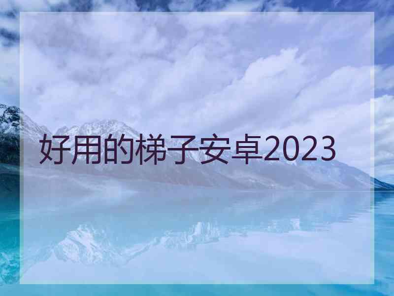 好用的梯子安卓2023