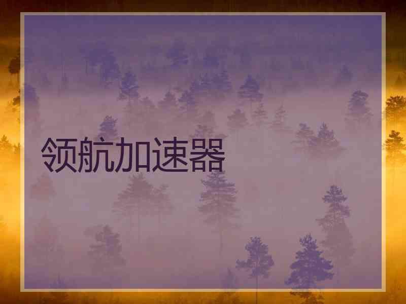 领航加速器