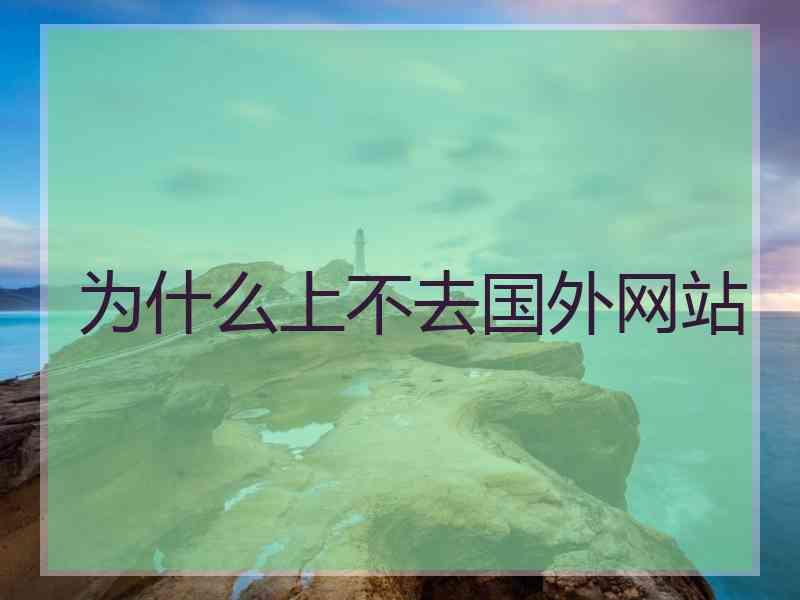 为什么上不去国外网站