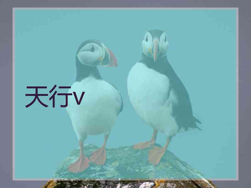 天行v