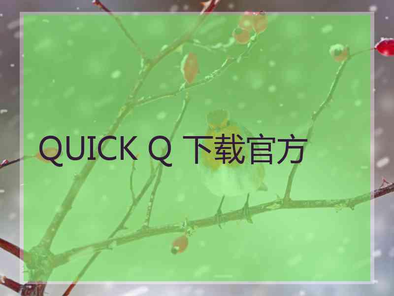 QUICK Q 下载官方