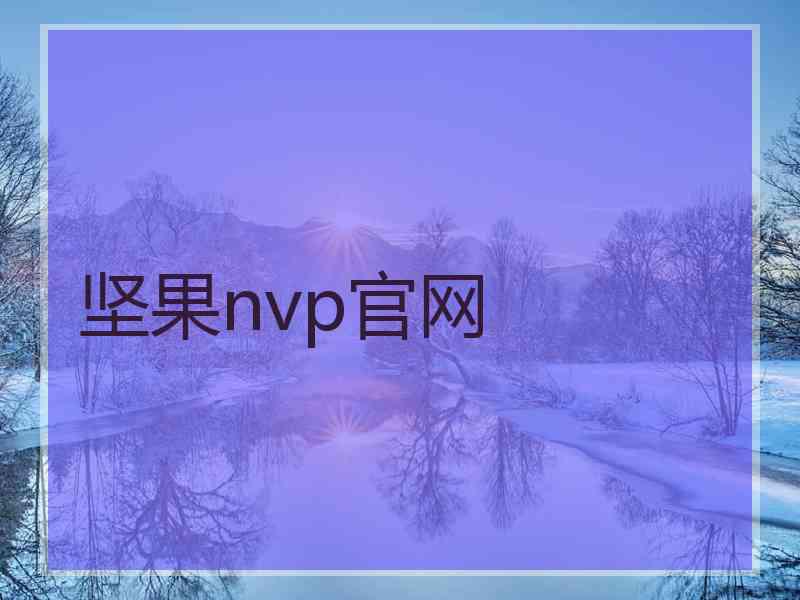 坚果nvp官网