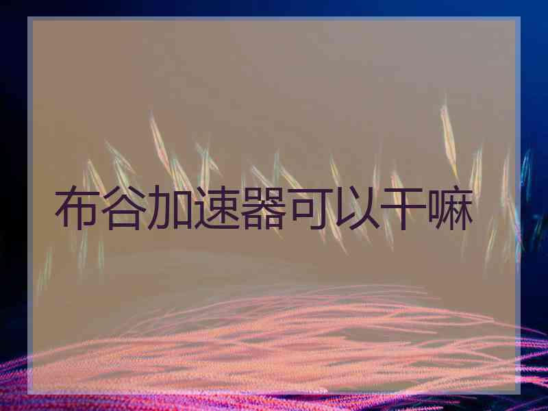 布谷加速器可以干嘛