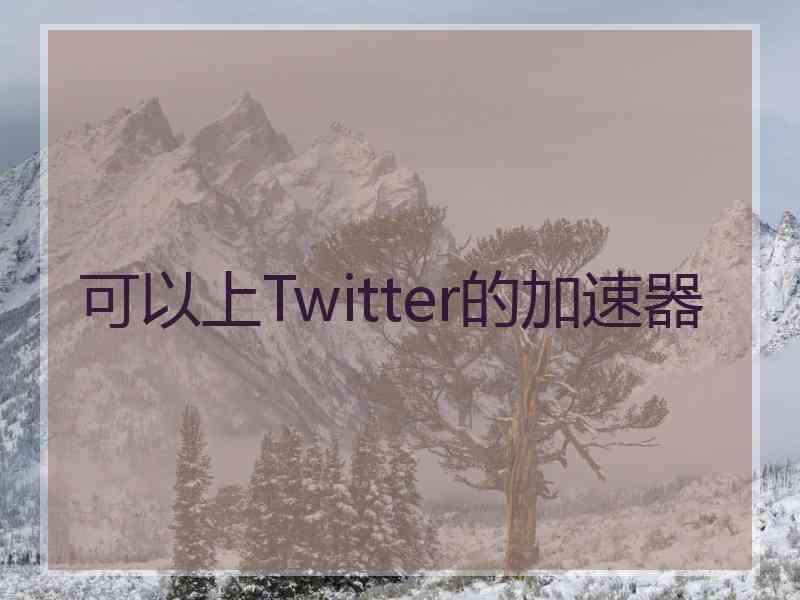可以上Twitter的加速器