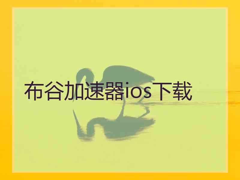 布谷加速器ios下载