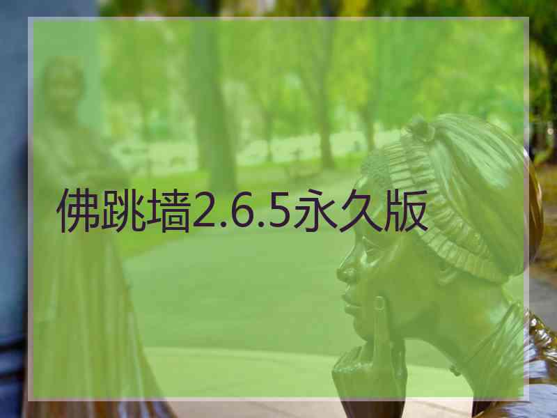 佛跳墙2.6.5永久版