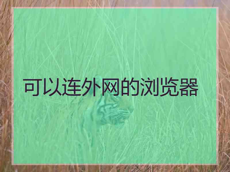 可以连外网的浏览器