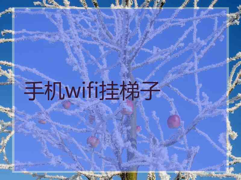 手机wifi挂梯子