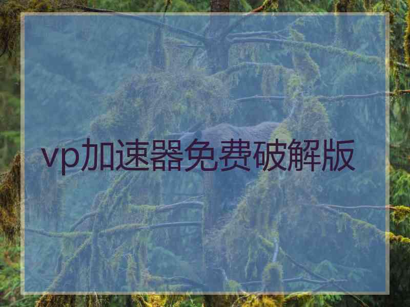 vp加速器免费破解版