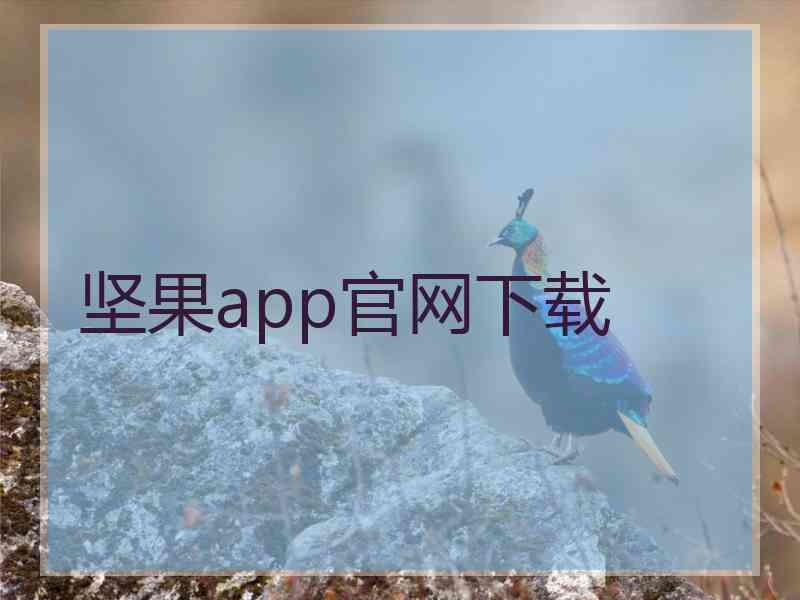 坚果app官网下载