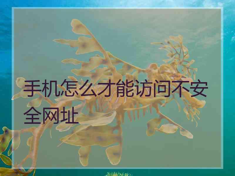 手机怎么才能访问不安全网址