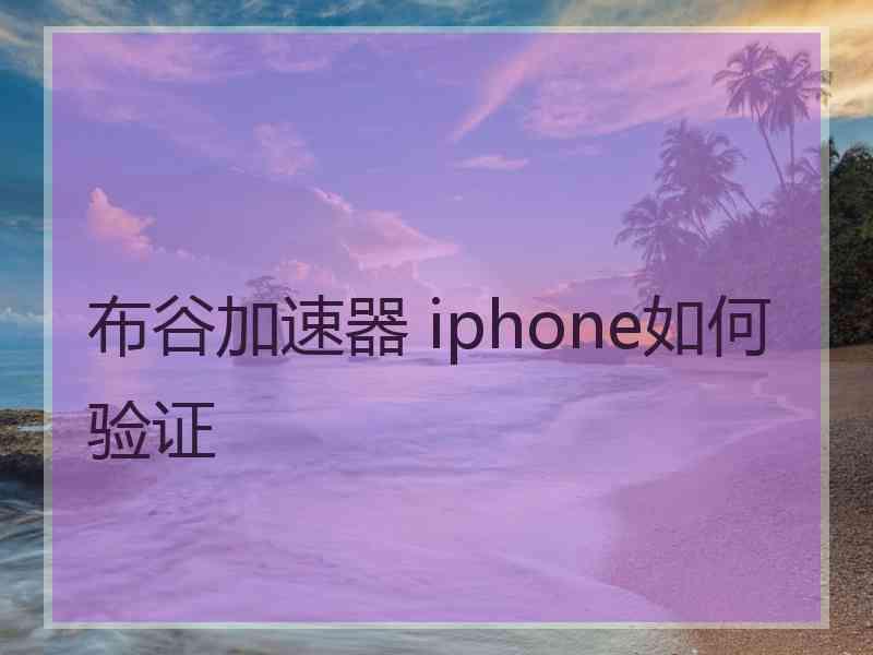 布谷加速器 iphone如何验证