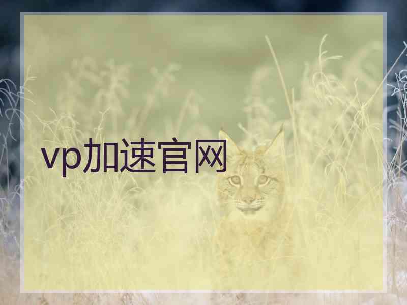 vp加速官网