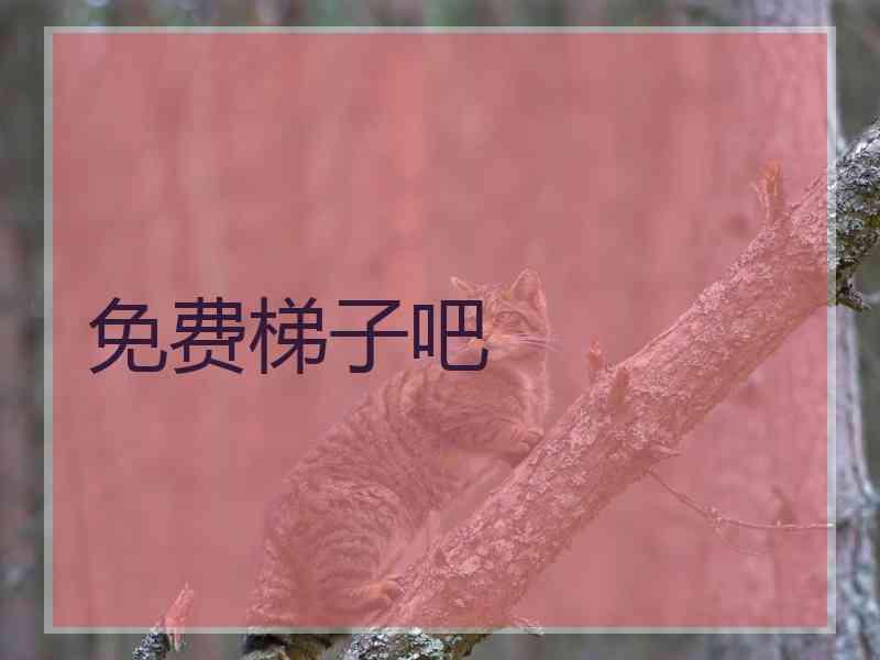 免费梯子吧