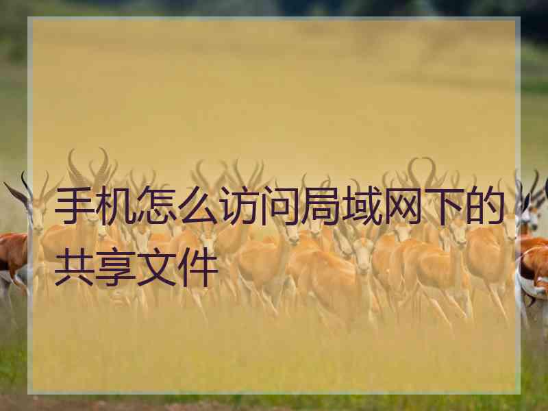 手机怎么访问局域网下的共享文件
