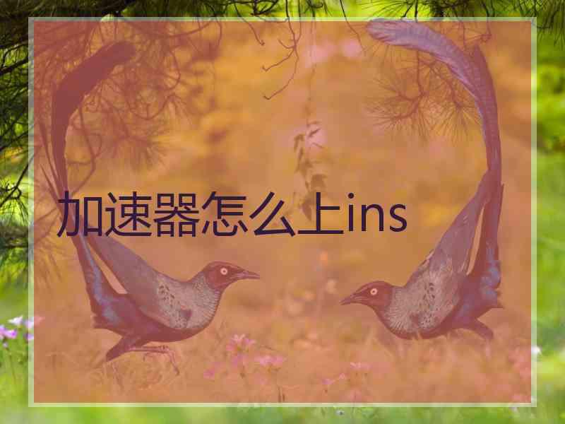 加速器怎么上ins
