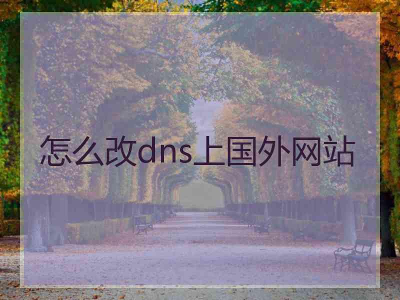 怎么改dns上国外网站