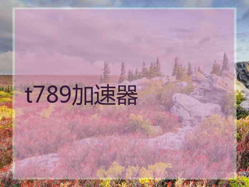 t789加速器