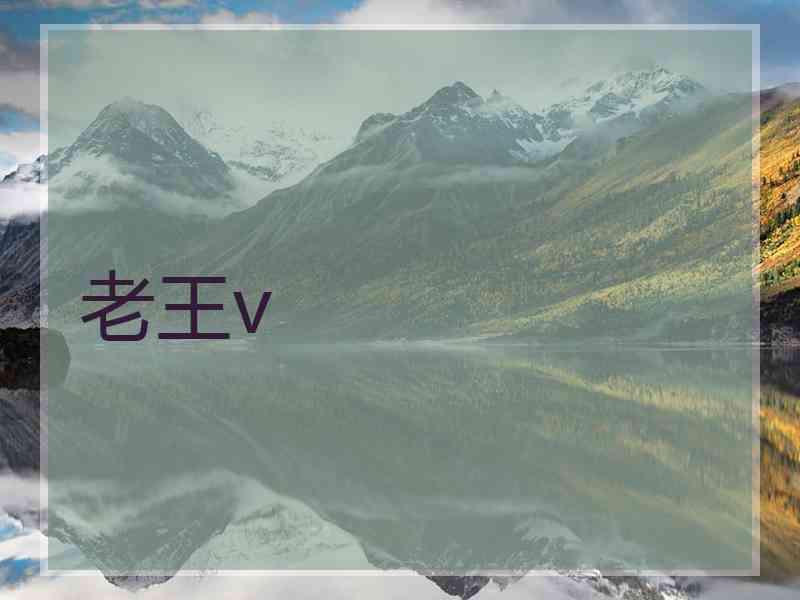 老王v