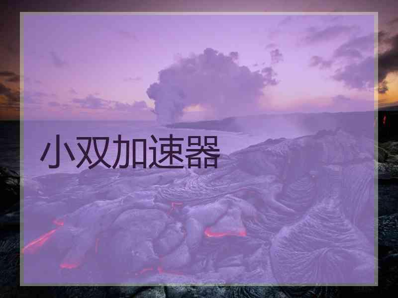 小双加速器