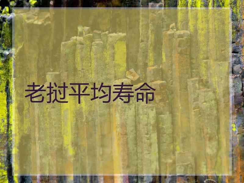 老挝平均寿命