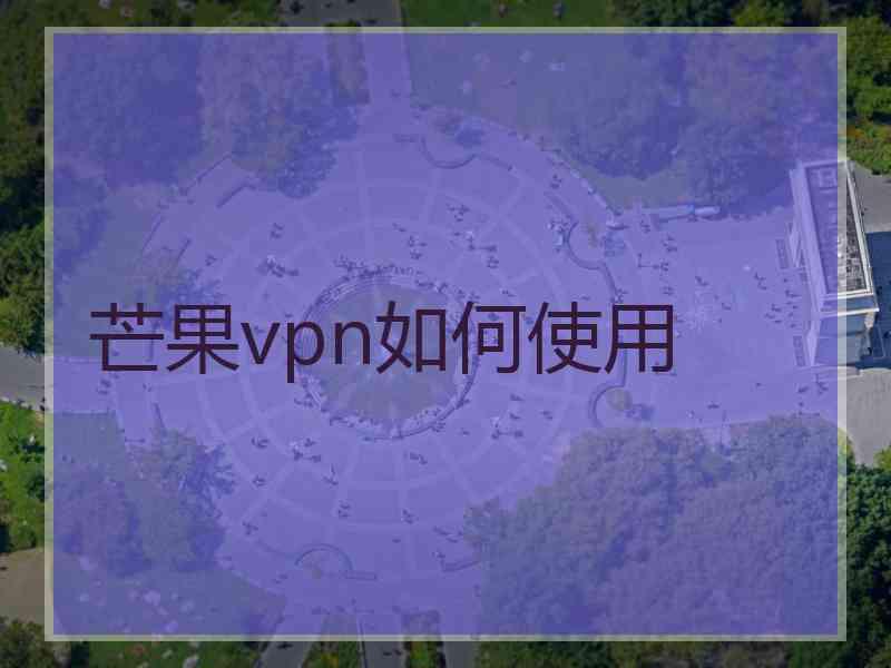 芒果vpn如何使用