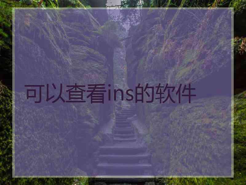 可以查看ins的软件