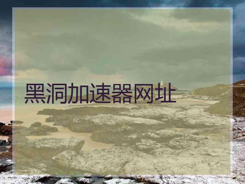 黑洞加速器网址