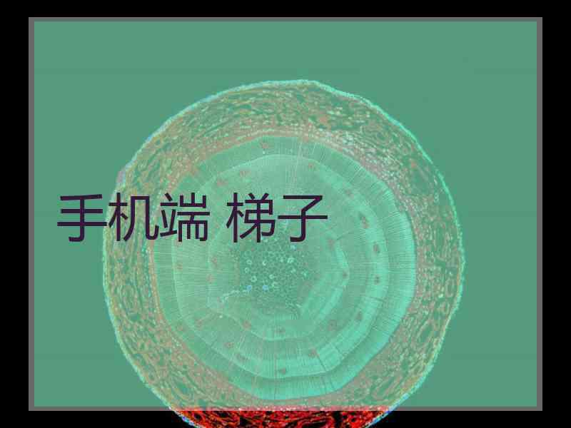 手机端 梯子