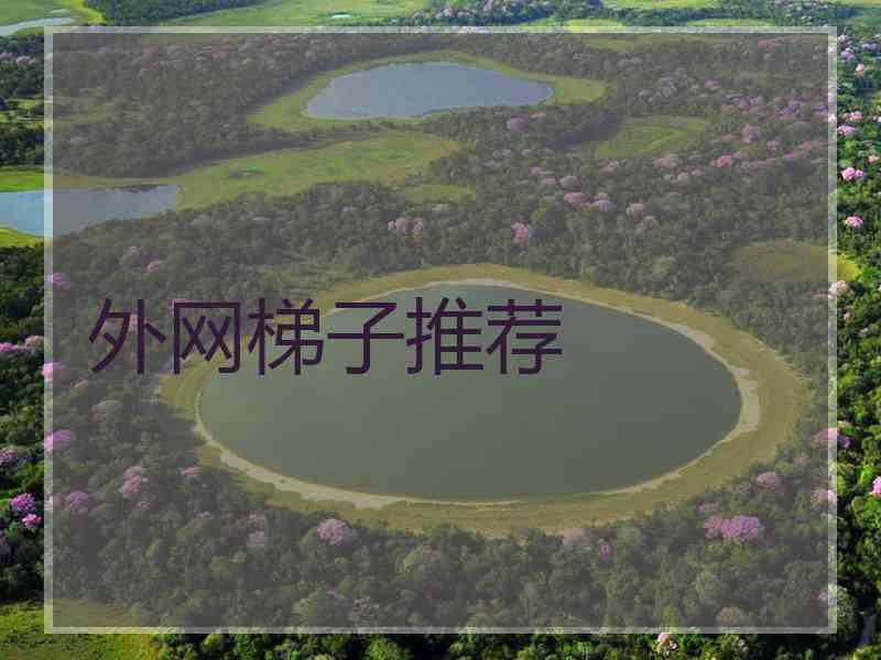外网梯子推荐