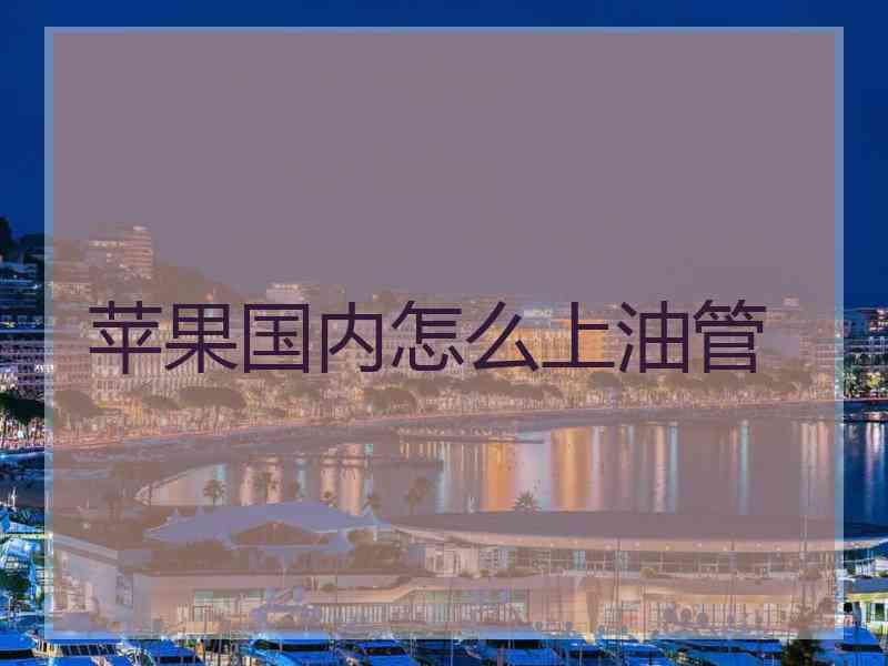 苹果国内怎么上油管