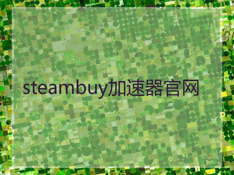 steambuy加速器官网