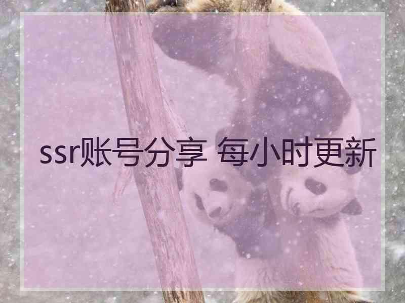 ssr账号分享 每小时更新