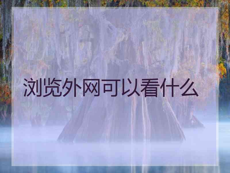 浏览外网可以看什么