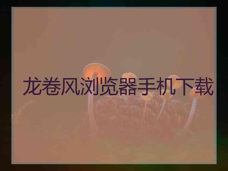 龙卷风浏览器手机下载