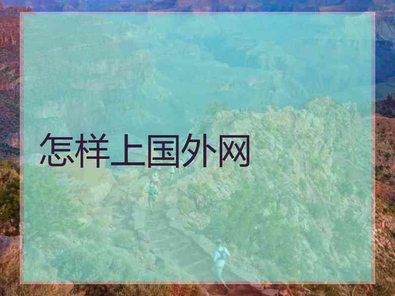 怎样上国外网