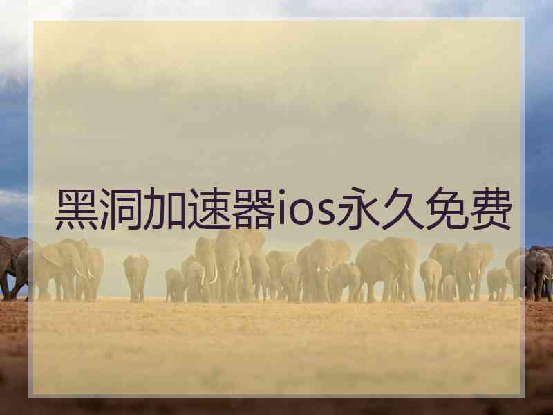 黑洞加速器ios永久免费