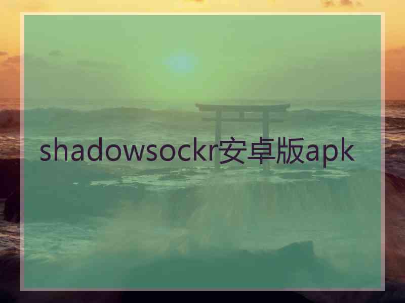 shadowsockr安卓版apk