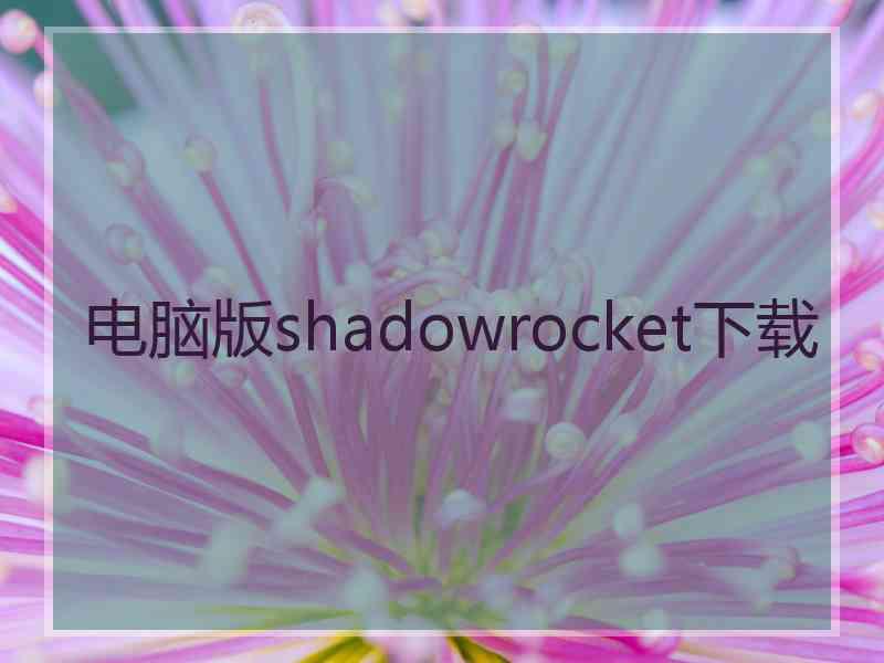 电脑版shadowrocket下载