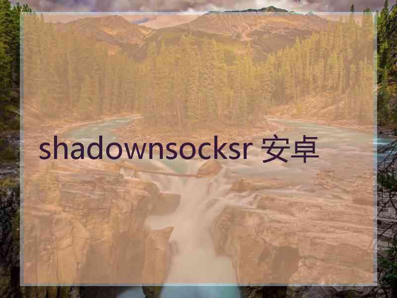 shadownsocksr 安卓